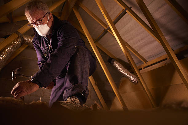 Best Geographic-Specific Insulation Services in Rouses Point, NY